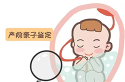 昭通孕期亲子鉴定需要什么手续,昭通孕期亲子鉴定价钱 昭通孕期亲子鉴定需要什么手续,昭通孕期亲子鉴定价钱
